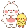 💈Shiba &Bear &Cat & Rabbit💈 19
