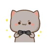 peach cat 24