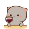 MOCHIS🐈CAT Especial I MOV 22