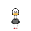 Ostrich Tajo Duck 💖 MOV 18