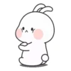 Couple Rabbit 19