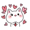 White Cat 12