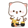 MOCHIS🐈CAT Especial I MOV 25