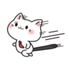 White Cat 13