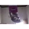 Cats@delicious 22