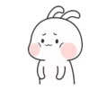 Couple Rabbit 22