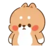 💈Shiba &Bear &Cat & Rabbit💈 22
