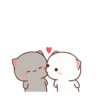 AW Cute Cat - Peach and Goma 23