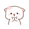 peach cat 27
