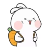Couple Rabbit 23