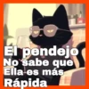 Gatos😺💞1🇵🇪Movi 25