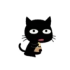 Black & White Kitty 20