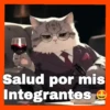 Gatos😺💞1🇵🇪Movi 26