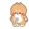 💈Shiba &Bear &Cat & Rabbit💈 24
