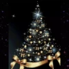 Pino Navideño🎄🌟Movi🇲🇽 25