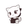 Black & White Kitty 23