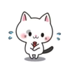 White Cat 17