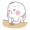 Bunny 20