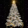 Pino Navideño🎄🌟Movi🇲🇽 26