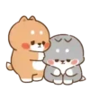 💈Shiba &Bear &Cat & Rabbit💈 29