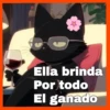 Gatos😺💞1🇵🇪Movi 29