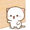 MOCHIS🐈CAT Especial I MOV 30