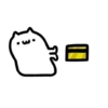 Mr Q Cat 2 💖 MOV 24
