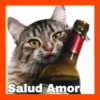Gatos😺💞1🇵🇪Movi 30