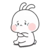Couple Rabbit 24