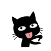 Black & White Kitty 24