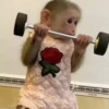 @Insatisfect Animals 6