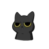 Black Cat Misty 5