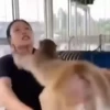 @Insatisfect Animals 14