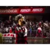 Fla.Videos 6