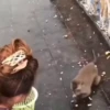 @Insatisfect Animals 15