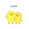 Cute Duck 6