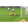 Fla.Videos 11