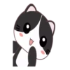 GATITOS CUTE 5