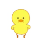Cute Duck 7
