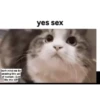 CatSticker 15
