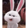 Bunny 14