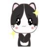 GATITOS CUTE 6
