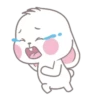 Bunny 11