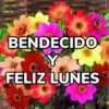 Bendecido, Feliz Día, Saludos 6