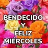 Bendecido, Feliz Día, Saludos 7