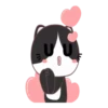 GATITOS CUTE 7