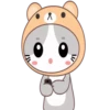 GATITOS CUTE 8