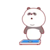 Brownie Bear MOV 12
