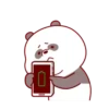Brownie Bear MOV 13