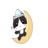 GATITOS CUTE 10